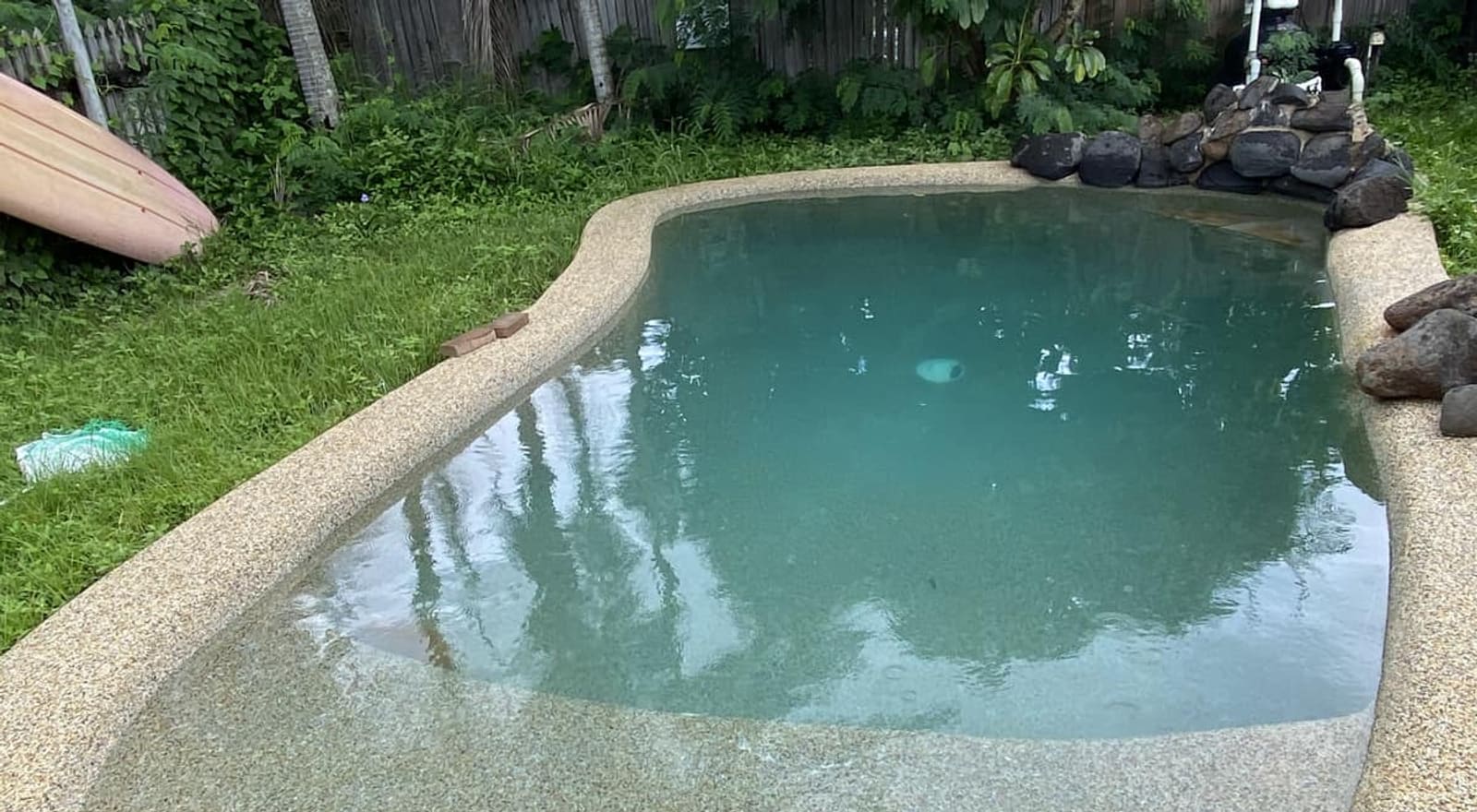 Clean blue Townsville kidney pool with pebblecrete coping after a Basic Pool Service