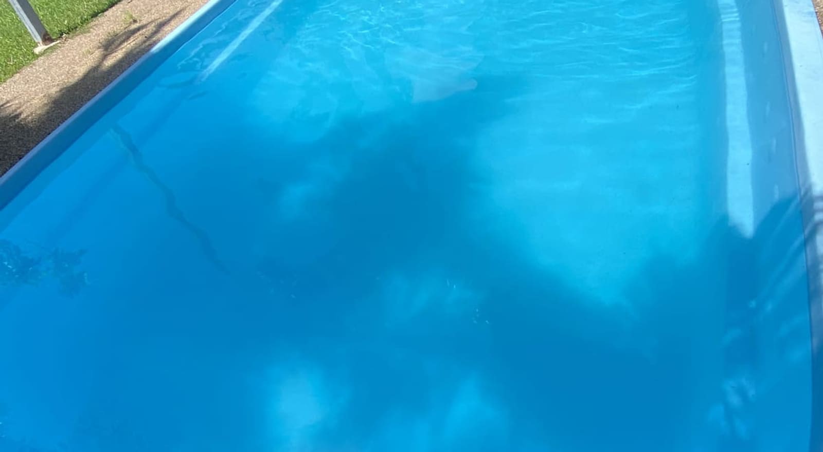 Clear blue Townsville pool water — site inspection during a consultation