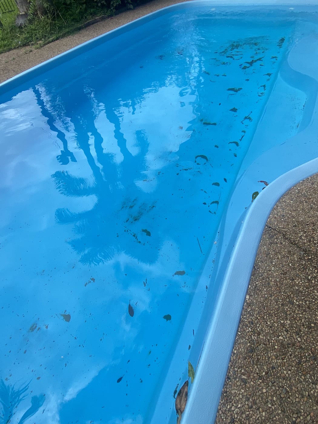 Same blue fibreglass Townsville pool clean and clear after Basic Pool Service